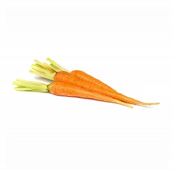 Морковь ранняя
